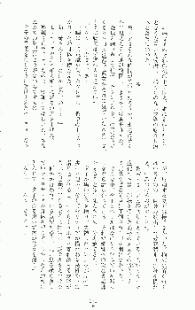 二次元ドリームノベルズ外伝 淫虐のヒロインたち, 日本語