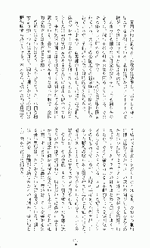 二次元ドリームノベルズ外伝 淫虐のヒロインたち, 日本語