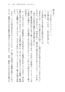 僕のパーティーが修羅場すぎて世界が救えない, 日本語