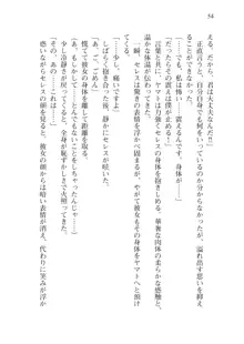 僕のパーティーが修羅場すぎて世界が救えない, 日本語