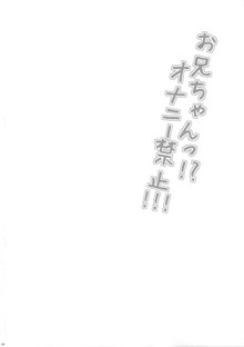 お兄ちゃん!?オナニー禁止!!!, 日本語