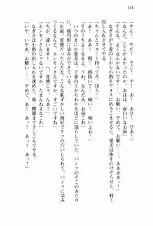 兄よりすぐれた妹などこの世に存在してはいけない, 日本語