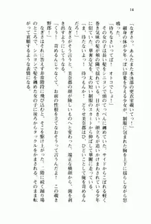 兄よりすぐれた妹などこの世に存在してはいけない, 日本語