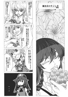 東方紅銀夢2, 日本語