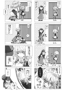 東方紅銀夢2, 日本語