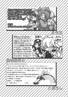 東方紅銀夢2, 日本語