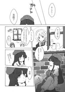 東方紅銀夢2, 日本語