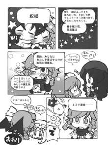 東方紅銀夢2, 日本語