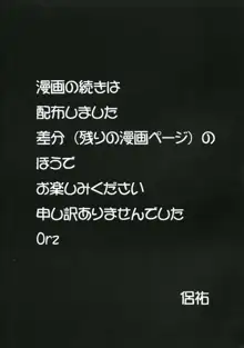 東方逆ベクトル本 地に落ちるか, 日本語