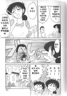 Hisae-san no Haitoku Nikki - Mrs HISAE's immoral diary, 한국어