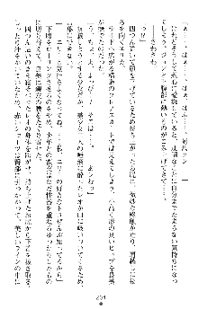 つよきすアナザーストーリー 霧夜エリカの場合, 日本語