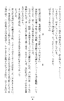 つよきすアナザーストーリー 霧夜エリカの場合, 日本語