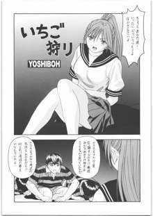 Y-SELECTION 4, 日本語