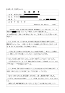 性犯罪供述調書, 日本語