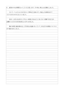 性犯罪供述調書, 日本語