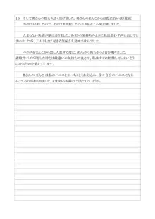 性犯罪供述調書, 日本語