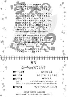 空太の生が出てきた？, 日本語