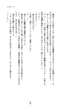 つよきすアナザーストーリー おとなごみと猫姫と小さな乙女さんの場合, 日本語