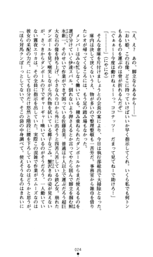 つよきすアナザーストーリー おとなごみと猫姫と小さな乙女さんの場合, 日本語