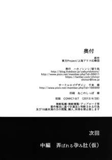 幸せな大妖精 前篇 薬漬けの処女喪失, 日本語