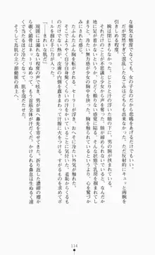 つよきす2学期アナザーデイズ ピンチなごみと男乙女と素奈緒お姉ちゃんの場合, 日本語