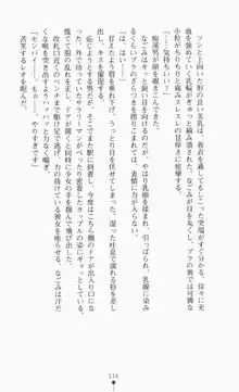 つよきす2学期アナザーデイズ ピンチなごみと男乙女と素奈緒お姉ちゃんの場合, 日本語