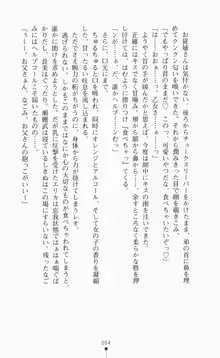 つよきす2学期アナザーデイズ ピンチなごみと男乙女と素奈緒お姉ちゃんの場合, 日本語