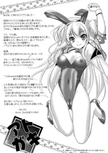 Brandish 4, 日本語