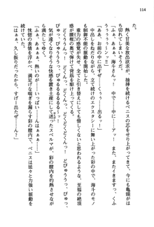 暁の護衛 プリンシパル護衛日記, 日本語