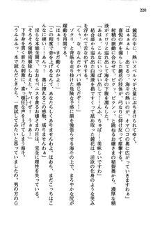 暁の護衛 プリンシパル護衛日記, 日本語