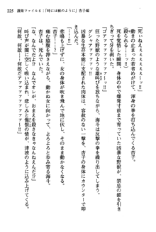 暁の護衛 プリンシパル護衛日記, 日本語