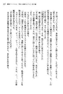 暁の護衛 プリンシパル護衛日記, 日本語