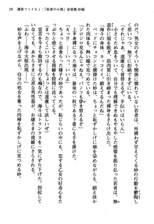 暁の護衛 プリンシパル護衛日記, 日本語