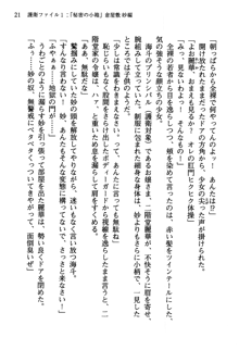 暁の護衛 プリンシパル護衛日記, 日本語