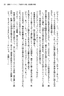 暁の護衛 プリンシパル護衛日記, 日本語