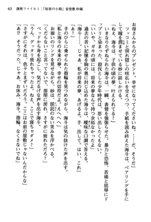 暁の護衛 プリンシパル護衛日記, 日本語