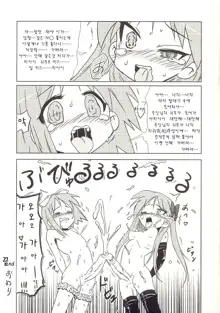 Futa Suta, 한국어