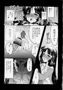 姫ヅクリ, 日本語