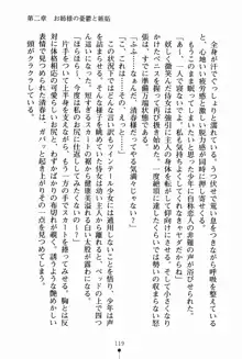 お姉さんデイズ お嬢様とメイドたちの誘惑, 日本語