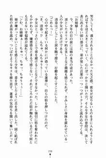 お姉さんデイズ お嬢様とメイドたちの誘惑, 日本語