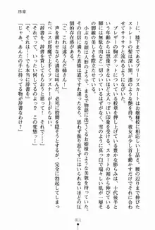 お姉さんデイズ お嬢様とメイドたちの誘惑, 日本語