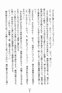 お姉さんデイズ お嬢様とメイドたちの誘惑, 日本語