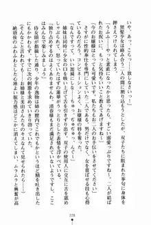 お姉さんデイズ お嬢様とメイドたちの誘惑, 日本語