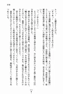 お姉さんデイズ お嬢様とメイドたちの誘惑, 日本語