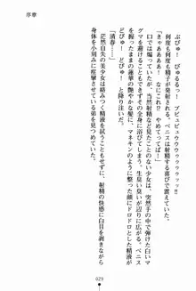 お姉さんデイズ お嬢様とメイドたちの誘惑, 日本語