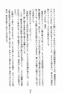 お姉さんデイズ お嬢様とメイドたちの誘惑, 日本語