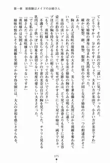 お姉さんデイズ お嬢様とメイドたちの誘惑, 日本語