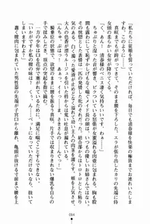 お姉さんデイズ お嬢様とメイドたちの誘惑, 日本語