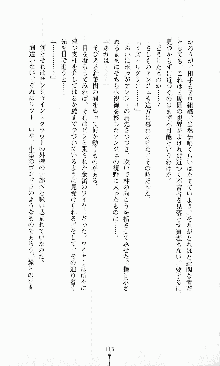 ダーク・スティンガー サンシャイン作戦, 日本語