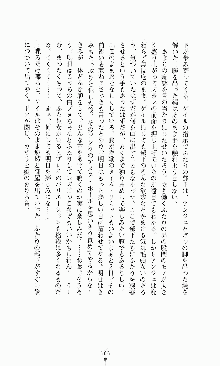 ダーク・スティンガー サンシャイン作戦, 日本語